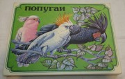 Набор подарочных спичечных коробков, сувенирные «Попугаи» Чудово №5257